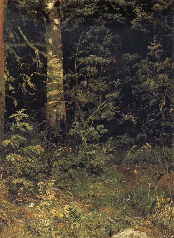 Silver birch and mountain ash, Ivan Shishkin